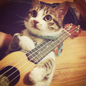 亚洲与欧洲精品刺激
